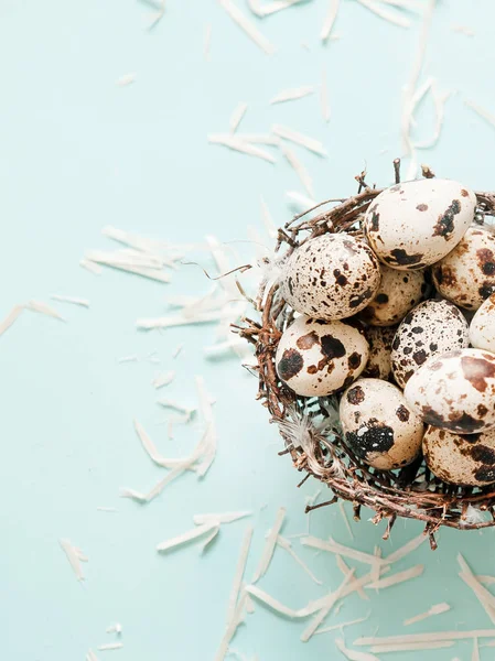 Quail Eggs Nest Light Blue Background — Stock Photo, Image