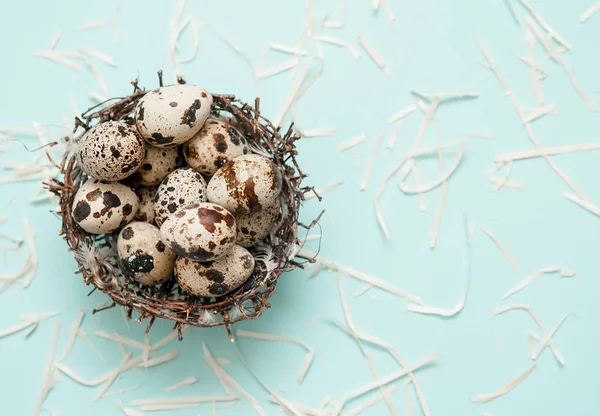 Quail Eggs Nest Light Blue Background — Stock Photo, Image