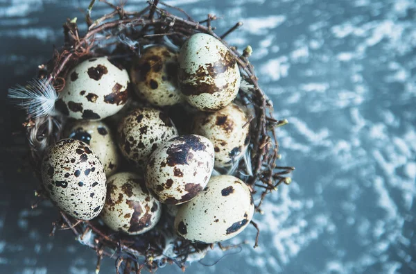 Quail Eggs Nest Stone Background — Stock Photo, Image