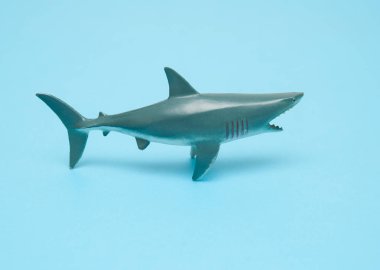 Köpekbalığı oyuncak mavi zemin üzerine.