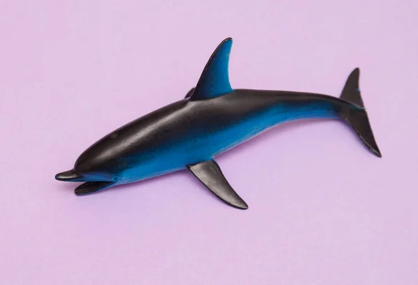 Dolphin Toy Background — Stock Photo, Image