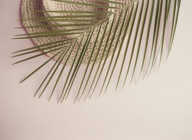Vanilya yaz aksesuarları tonunu stilize fotoğrafta. Şapka ve palmiye yaprağı. 