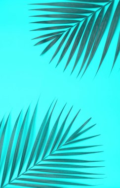Renkli palmiye yaprağı.