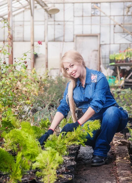 Kobieta Ciąży Praca Szklarni — Zdjęcie stockowe