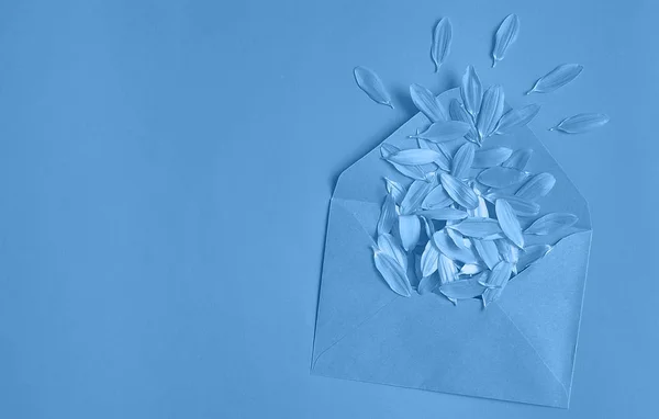 Envelope Com Pétalas Cor Moda Azul — Fotografia de Stock