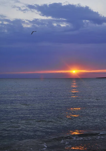 Bela Paisagem Mar Pôr Sol — Fotografia de Stock