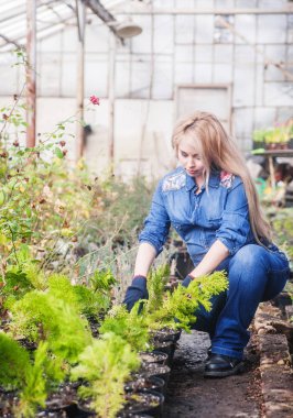 Hamile kadın serada çalışıyor..