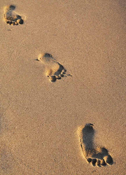 Strandspaziergang Auf Sand — Stockfoto