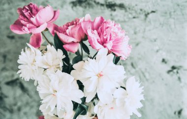 Saksıda çiçek açan çiçekler.