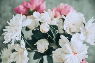 Saksıda çiçek açan çiçekler.