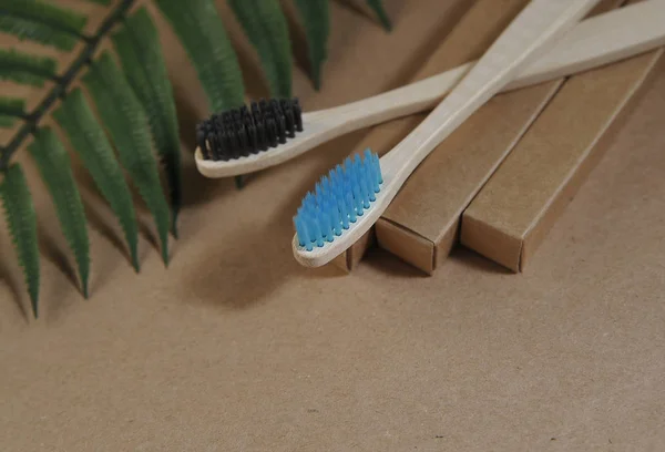 Bamboo Toothbrushes Craft Paper Eco Concept Zero Waste — Stock Photo, Image