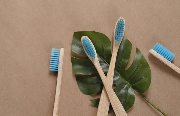 Brosses Dents Bambou Sur Papier Artisanal Concept Écologique Zéro Déchet — Photo