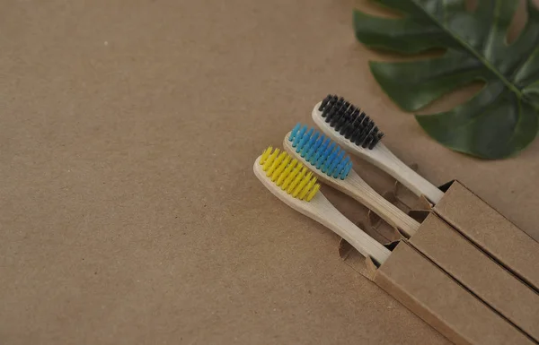 Brosses Dents Bambou Sur Papier Artisanal Concept Écologique Zéro Déchet — Photo