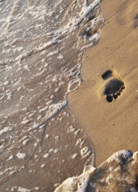 Sahilde. Yaz zamanı konsepti.