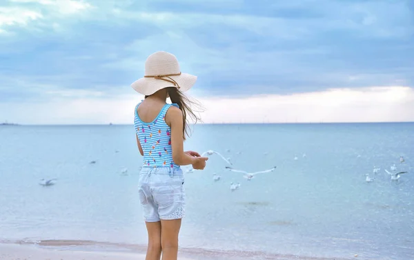 모자를 귀여운 해변의 갈매기를 — 스톡 사진