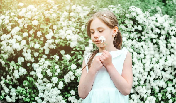Pequena Menina Caucasiana Jardim Flores Florescendo Conceito Primavera — Fotografia de Stock