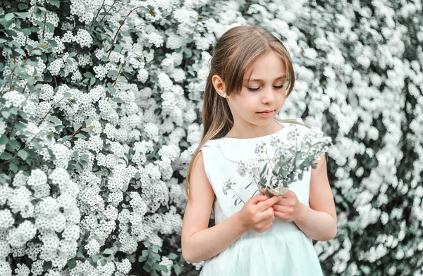 Маленька Біла Дівчинка Квітучому Квітковому Саду Весняна Концепція — стокове фото