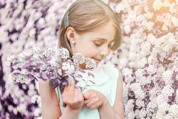 Malá Běloška Kvetoucí Květinové Zahradě Jarní Koncept — Stock fotografie