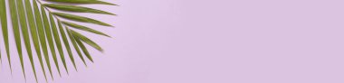 Renkli arkaplanda palmiye yaprakları.