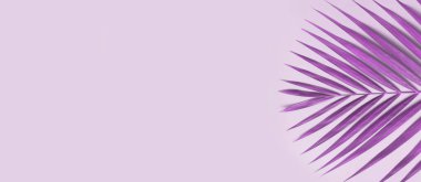 Renkli arka planda palmiye ağacı olan yaz afişi.