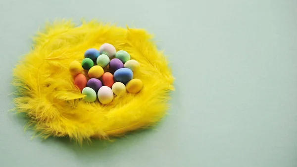 Background Feathers Eggs — Stock Photo, Image