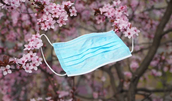 盛开的樱桃树上的保护膜 — 图库照片
