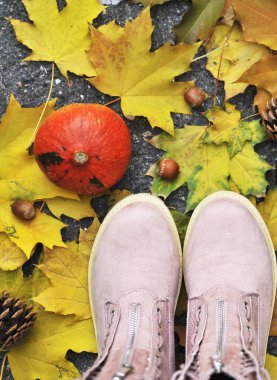 Sonbahar arkaplanı. Sonbahar yapraklarındaki ayakkabılar, balkabakları, koniler.