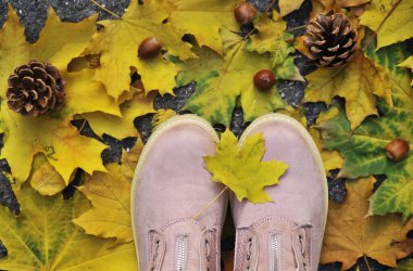 Sonbahar arkaplanı. Sonbahar yapraklarındaki ayakkabılar, balkabakları, koniler.