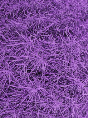 Bitkinin soyut dokusu.