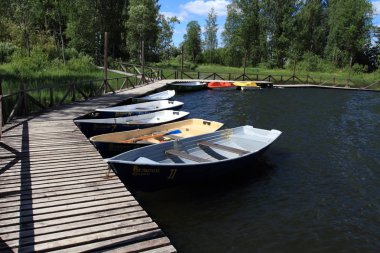 Büyük Rus göl ve yaz manzaraları.