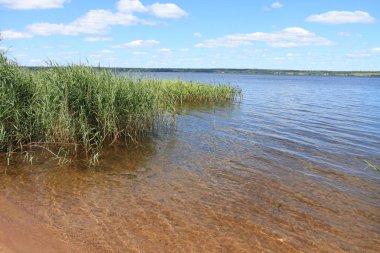 Büyük Rus göl ve yaz manzaraları.