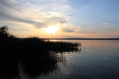 Büyük Rus göl ve yaz manzaraları.