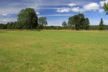 Büyük Rus göl ve yaz manzaraları.