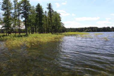 Büyük Rus göl ve yaz manzaraları.