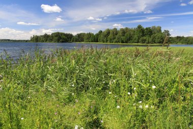 Büyük Rus göl ve yaz manzaraları.