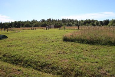 Büyük Rus göl ve yaz manzaraları.