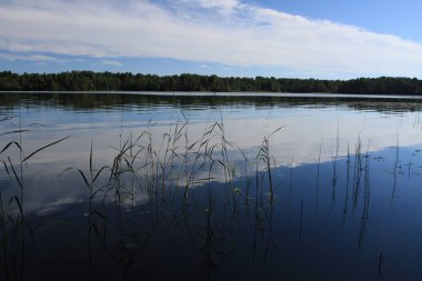 Büyük Rus göl ve yaz manzaraları.