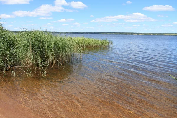 Büyük Rus göl ve yaz manzaraları.