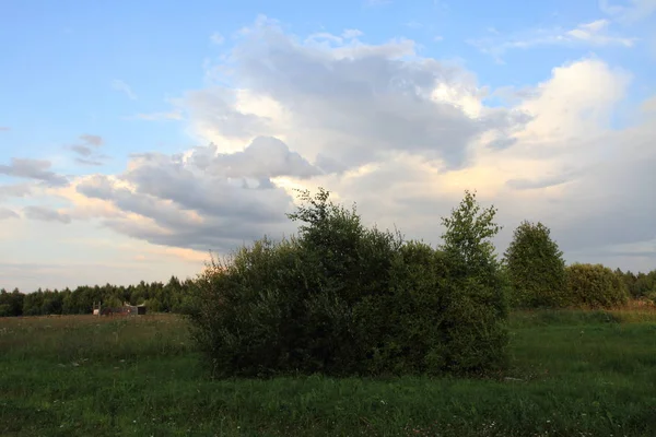 Büyük Rus göl ve yaz manzaraları.