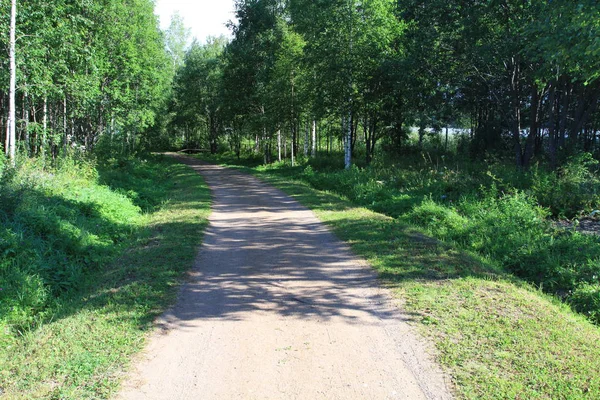 Büyük Rus göl ve yaz manzaraları.