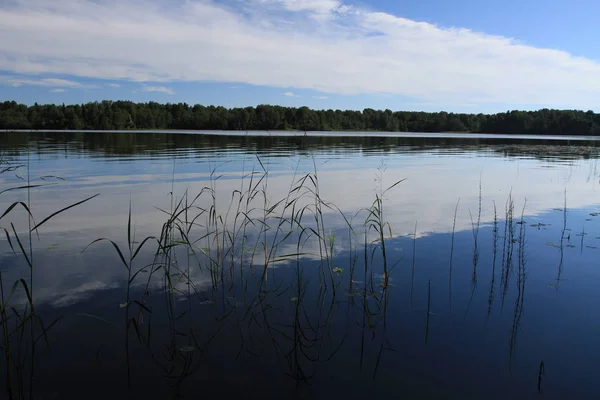 Il grande lago russo e paesaggi dall'estate . — Foto Stock