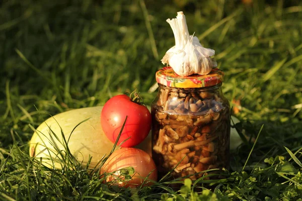 Kutular, Marine mantar