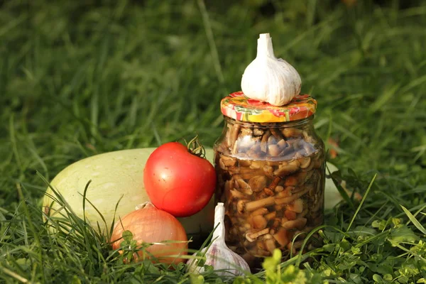 Kutular, Marine mantar