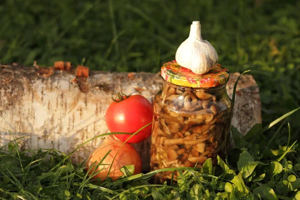 Kutular, Marine mantar