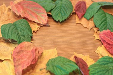 Ağaçlar ve natürmort en iyi sonbahar yaprakları