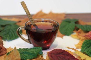 Ağaçlar ve natürmort en iyi sonbahar yaprakları