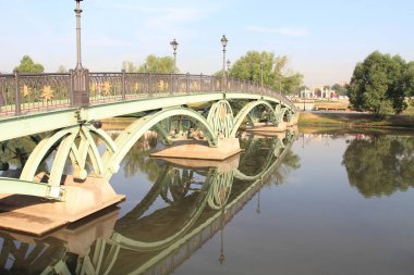 Büyük ve büyük sanat Köprüsü thr Merkezi Moskova Park, Rusya Federasyonu