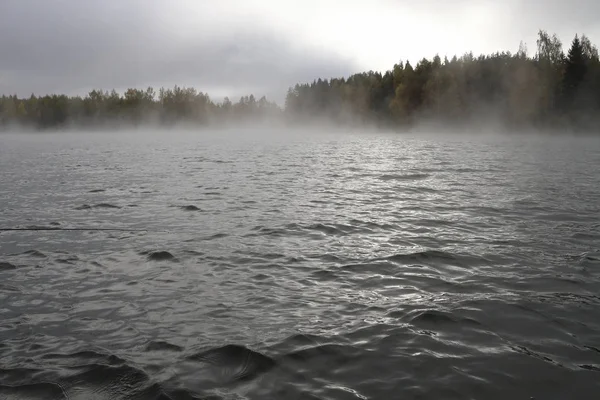 Sayısı büyük Gölü, su, orman, kıyı, ağaçlar