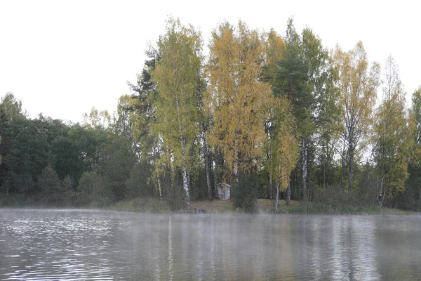 Sayısı büyük Gölü, su, orman, kıyı, ağaçlar — Stok fotoğraf
