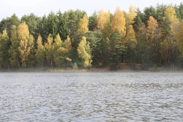 Sayısı büyük Gölü, su, orman, kıyı, ağaçlar